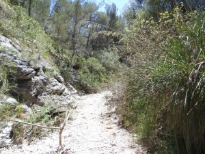 DSCN1711 (Medium)